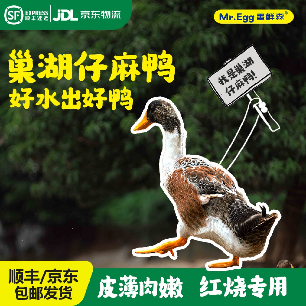 蛋鲜森巢湖仔麻鸭1000g