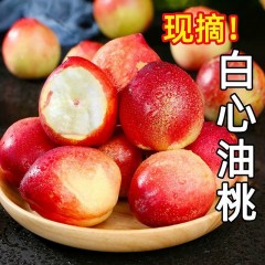 【现摘现发】云南高山白肉油桃应季时令水果新鲜水果产地直发