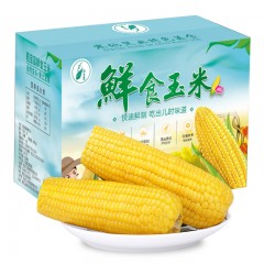稻宝昌 东北鲜制黄糯玉米棒非转基因真空包邮 8穗