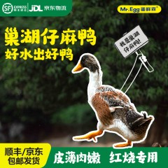 蛋鲜森巢湖仔麻鸭1000g