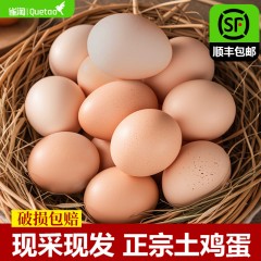 雀淘皖南谷物新鲜鸡蛋虫草蛋慢养农家土鸡蛋50枚无菌无腥味高营养个大新鲜整箱