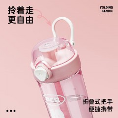 炊大皇元气系列Tritan双饮杯大容量水杯耐热吸管杯650ML YQ65A