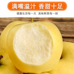 维纳斯金苹果山东苹果新鲜当季水果孕妇可吃时令水果脆甜多汁