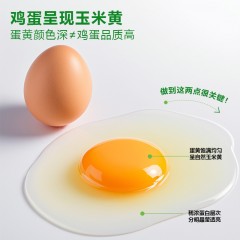 雀淘皖南谷物新鲜鸡蛋虫草蛋慢养农家土鸡蛋50枚无菌无腥味高营养个大新鲜整箱