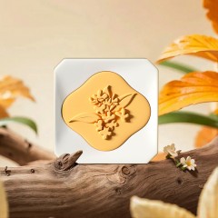 阿迪纳兰 四季如诗 石膏车载香薰