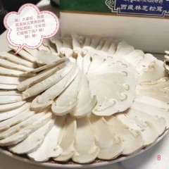 西藏新鲜野生林芝松茸2斤装（规格：12+厘米）
