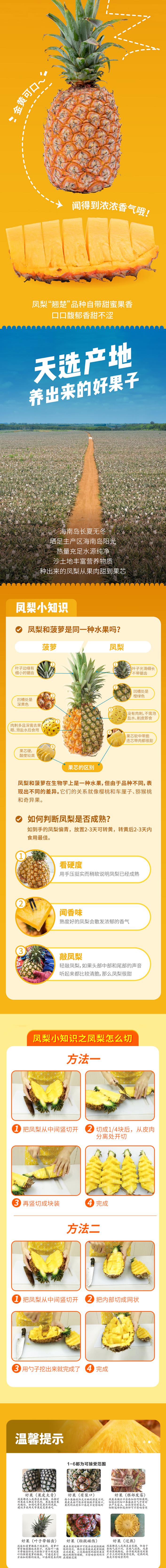 海南凤梨详情.jpg