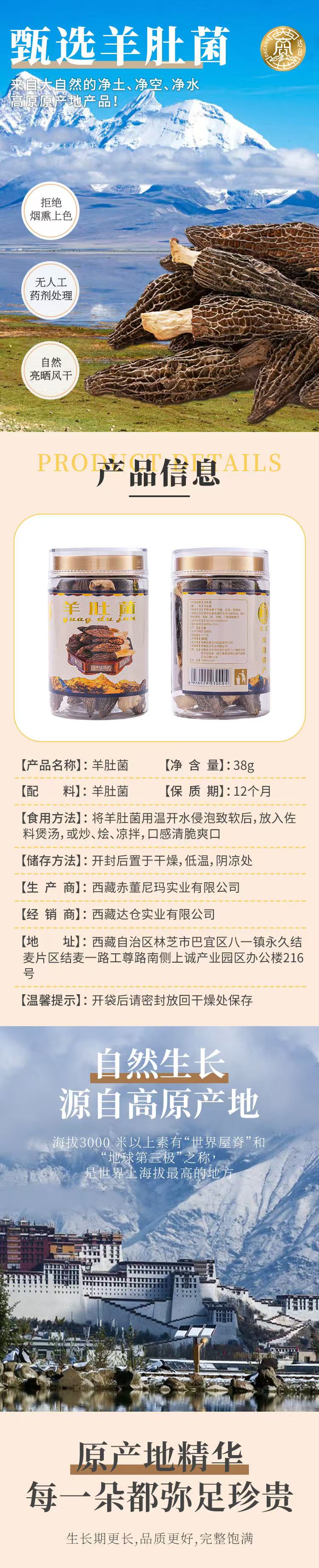 11f.jpg