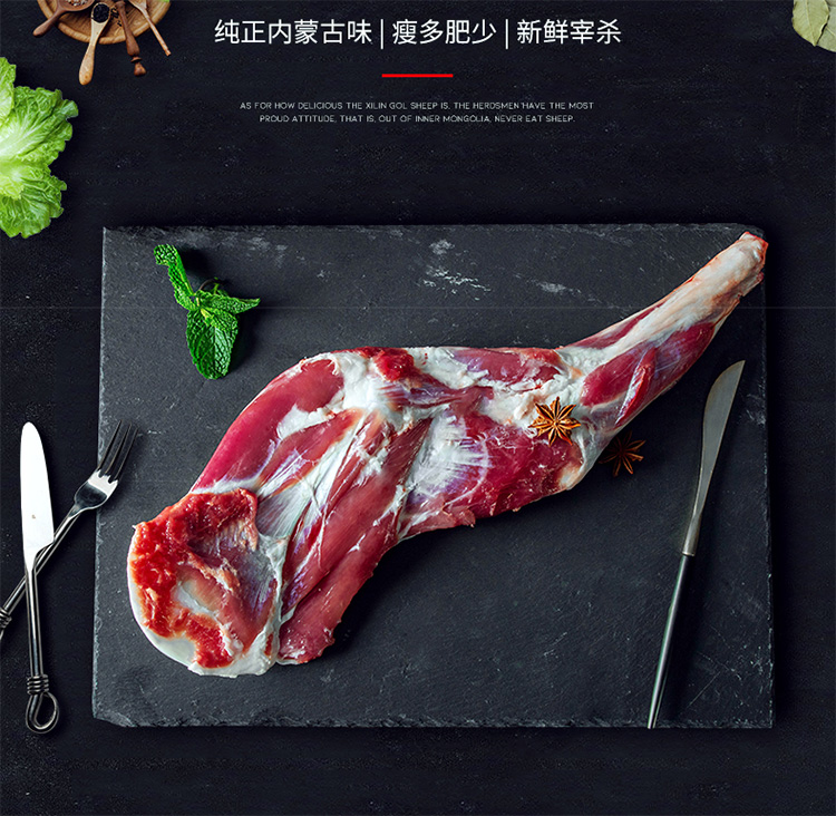 前腿1.jpg