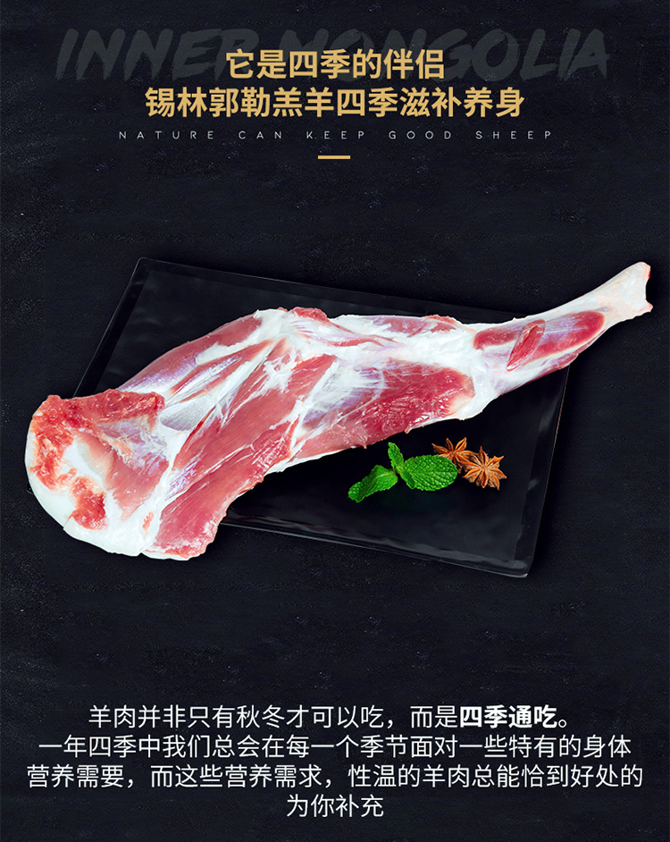 前腿6.jpg