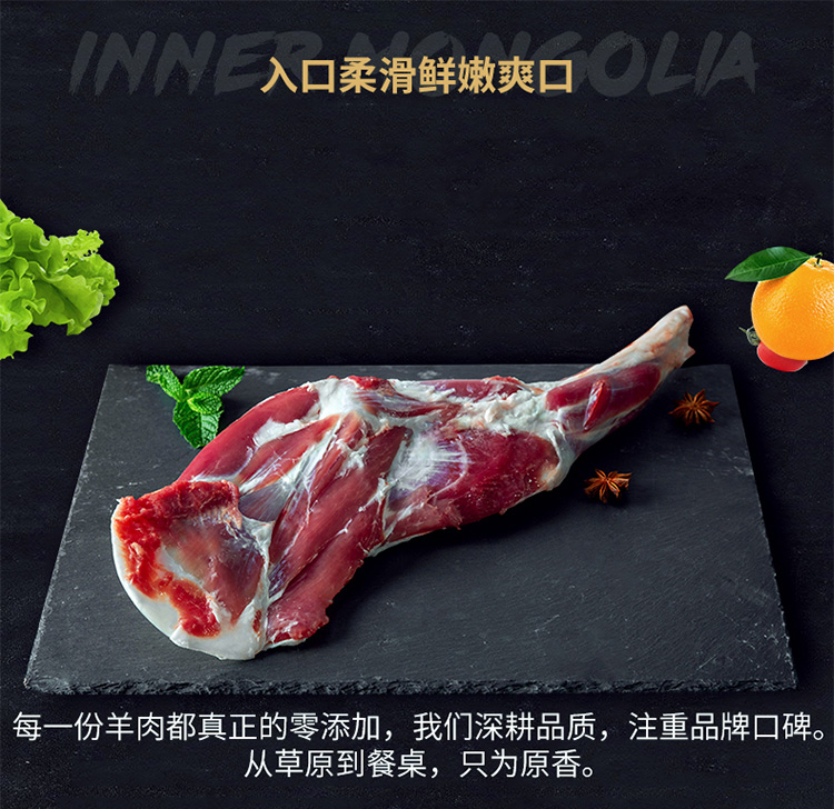 前腿2.jpg