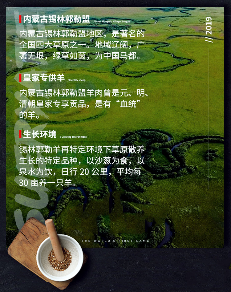 前腿3.jpg