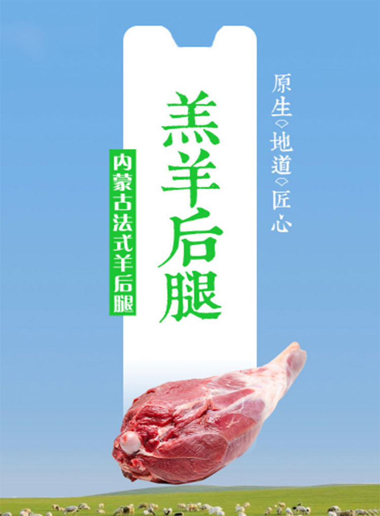 后腿1.jpg