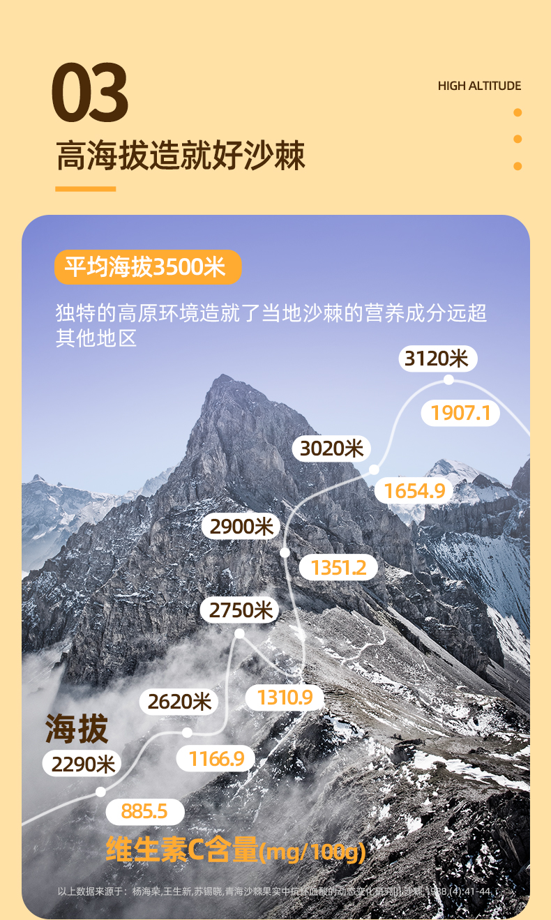 有机沙棘原浆详情_13.jpg