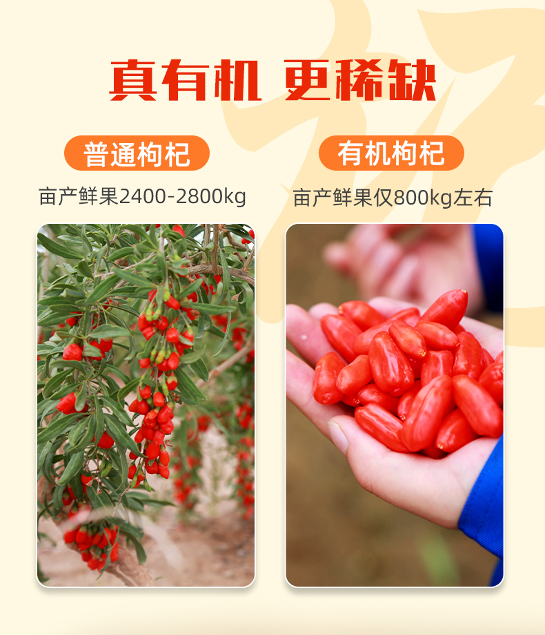 呀啦嗦有机枸杞_07.jpg