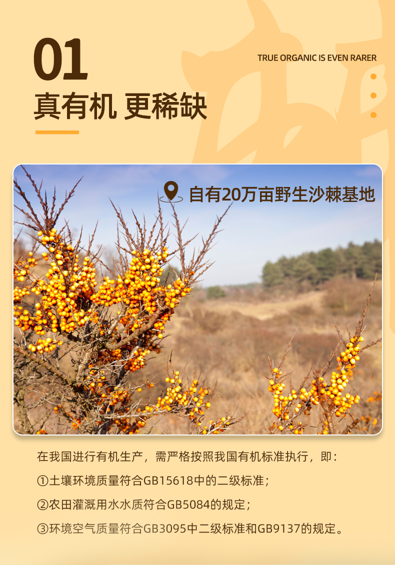有机沙棘原浆详情_06.jpg